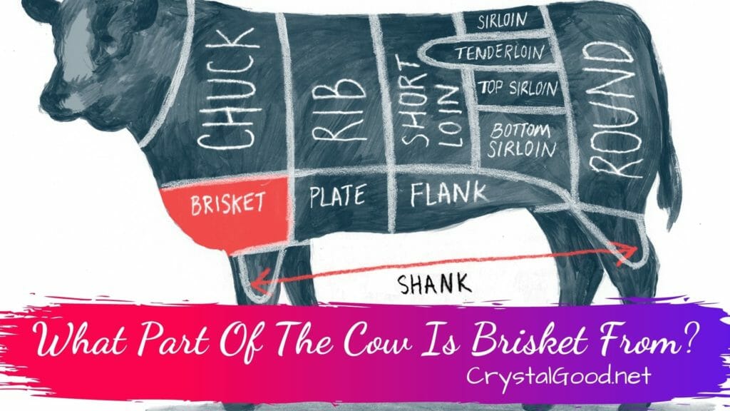 What Part Of The Cow Is Brisket From