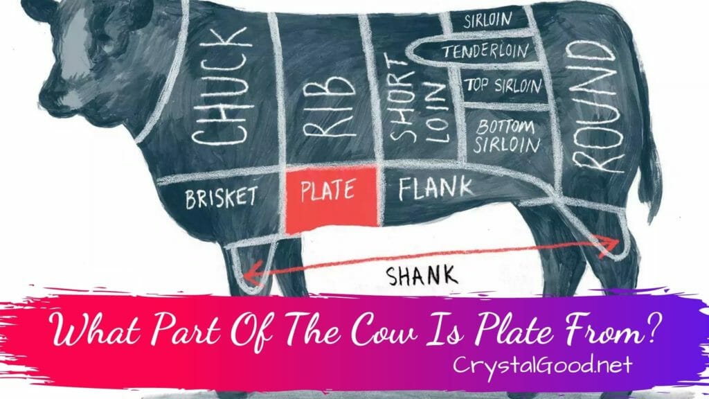 What Part Of The Cow Is Plate From